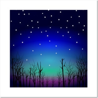 Starry Nights with Aurora Posters and Art